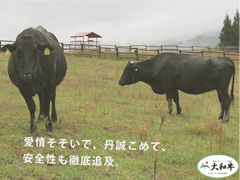 奈良県畜産農業協同組合連合会[イメージ]
